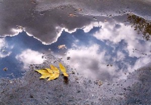 Create meme: One in the puddle, sees mud and the other is a reflection of the sky