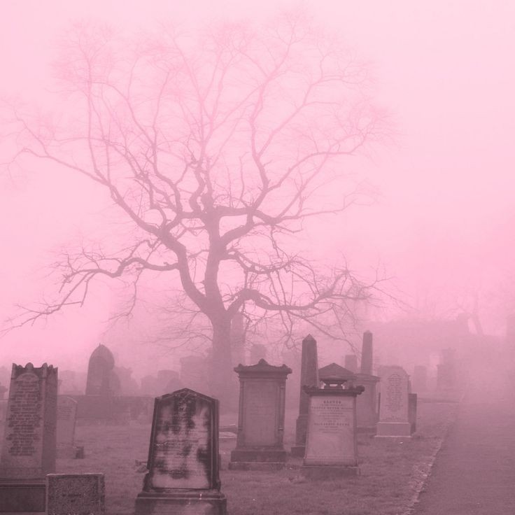 Create meme: cemetery aesthetics, cemetery in the fog, silent hill cemetery