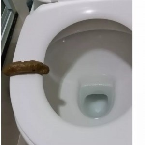Create meme: the toilet is washed off, toilet, poop in the toilet