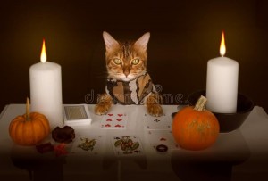 Создать мем: pumpkin halloween, funny halloween pumpkin cat back, cat halloween
