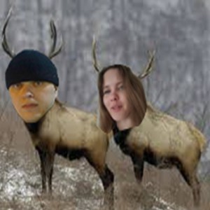 Create meme: moose, wild animals, deer elk