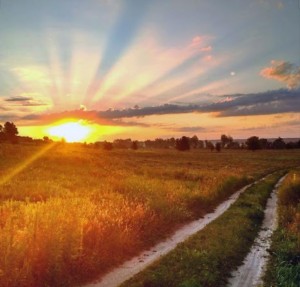 Create meme: summer sunset field, country road at sunset, sunset, summer, way