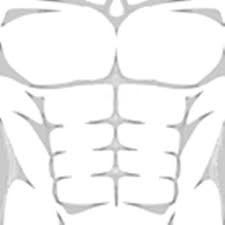 Roblox Muscle T Shirt Png Vector Library Download - Roblox Abs