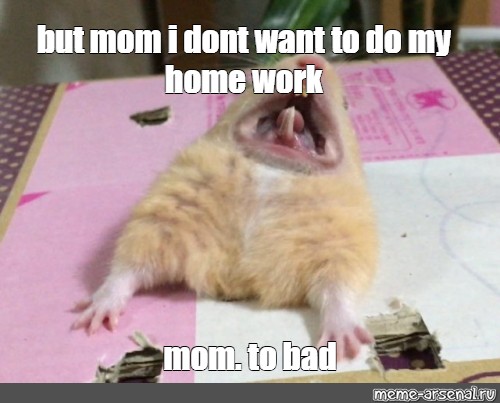 Meme But Mom I Dont Want To Do My Home Work Mom To Bad All Templates Meme Arsenal Com