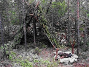 Create meme: shelter, in the woods, temporary housing