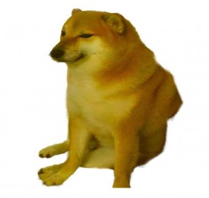 Create meme: doge, cheems doge, shiba inu