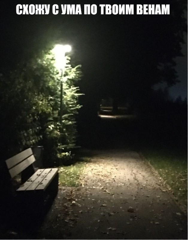 Create meme: Park night, night Park, alley in the park at night