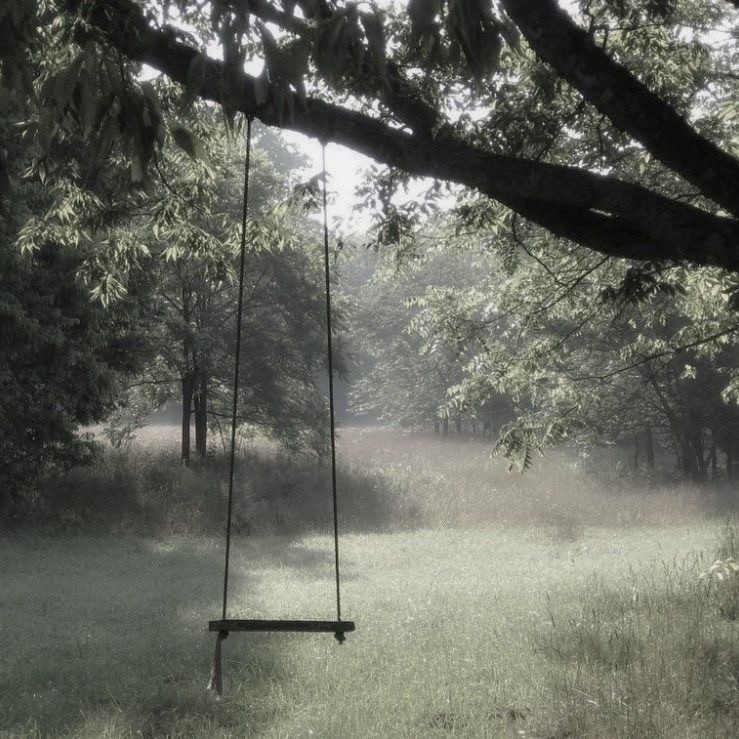 Create meme: swing in the forest, old swing, swing on a tree