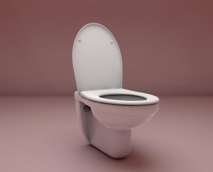 Create meme: the toilet seat, WC CD, the toilet