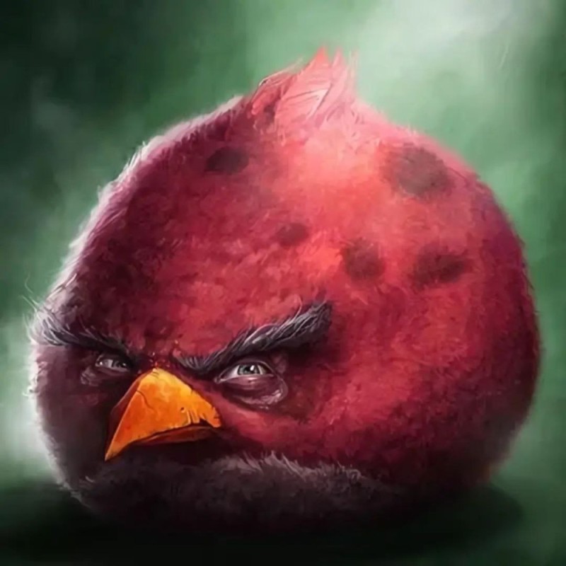 Create meme: The bird of Angri Birds, The evil bird of the Angri Birds, angry angri birds