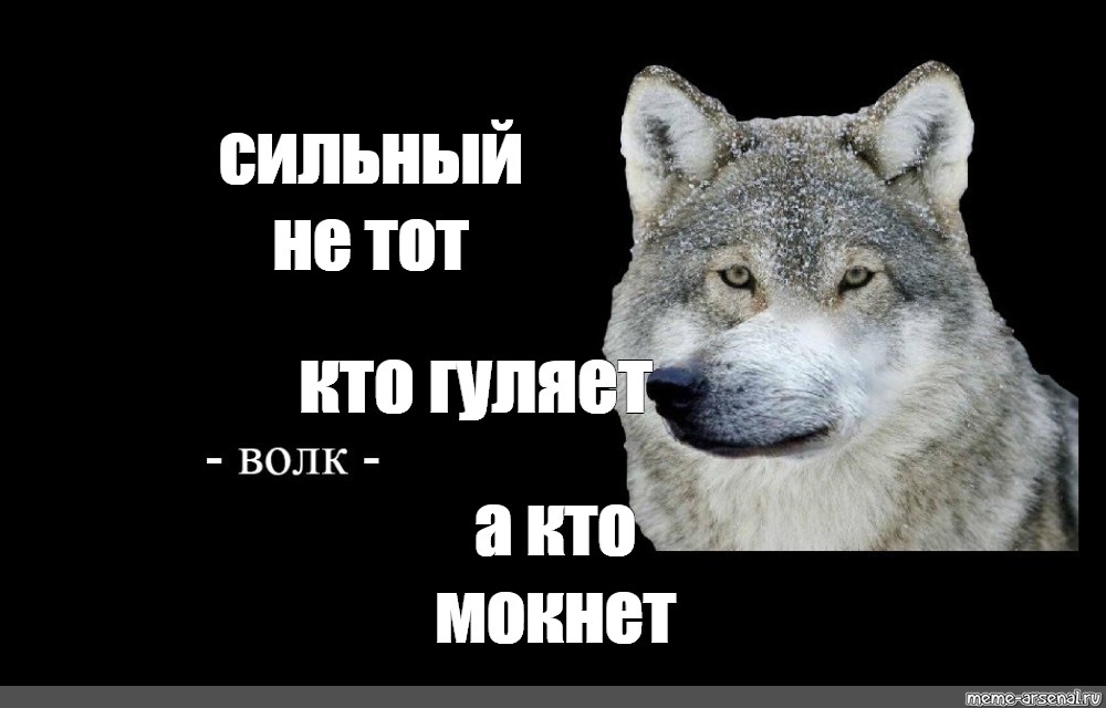 Танцующий волк мем