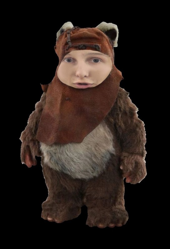 Create meme: the ewoks from star wars, ewoks , from star wars