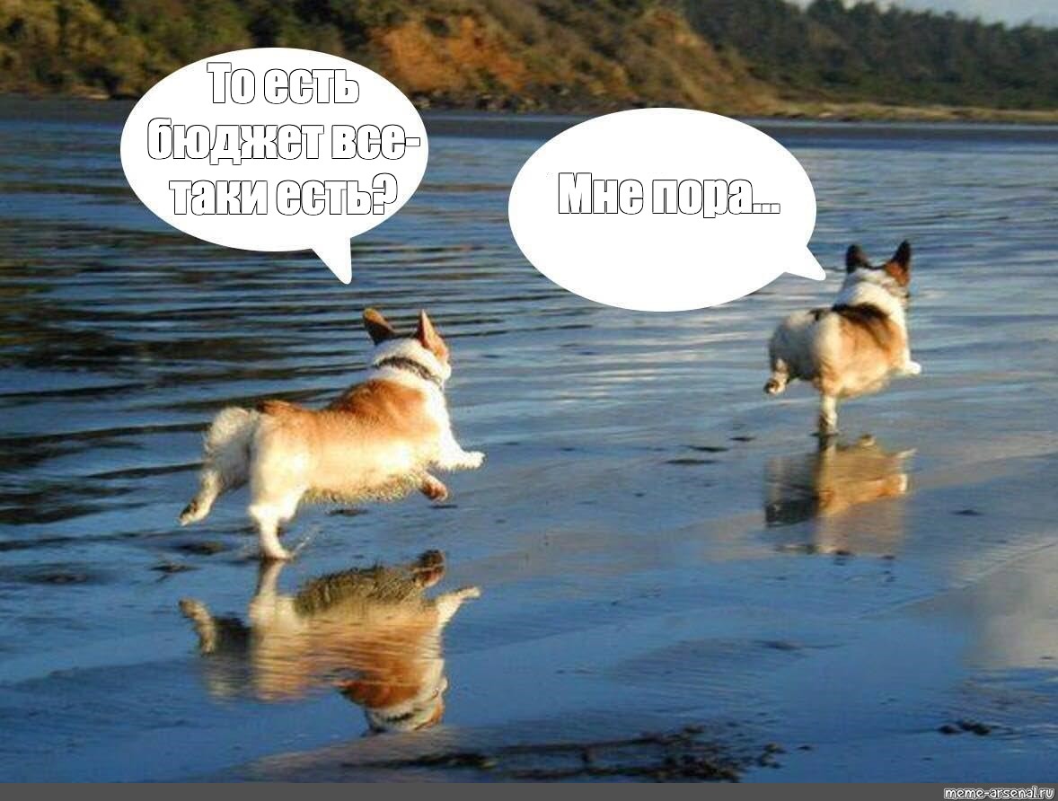 Running meme. Сбежал Мем. Убегает Мем. Мемы бежит. Корги бегает.