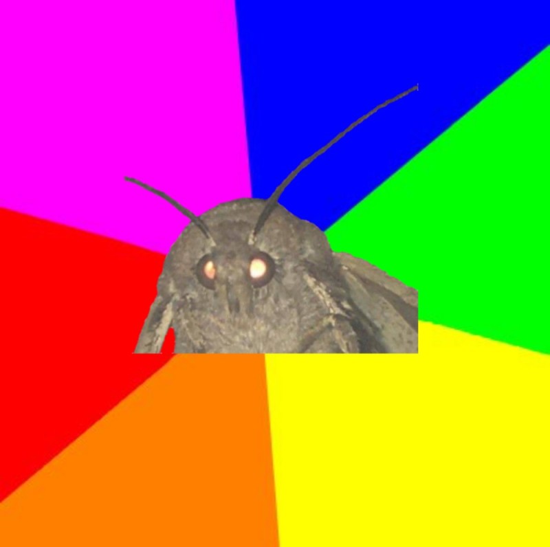 Create meme: moth meme, moth, meme moth