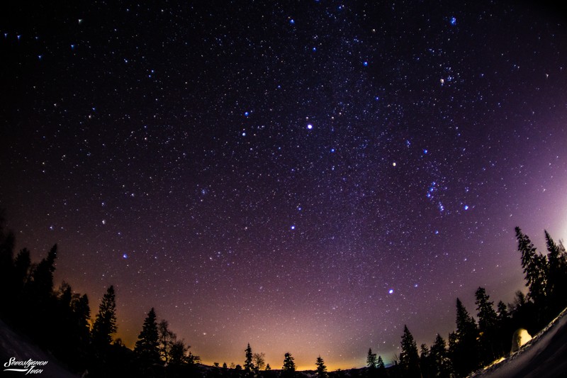 Create meme: starry sky in the forest, sky star , starry sky