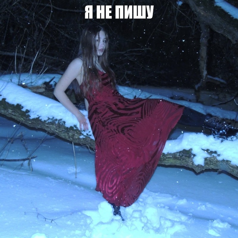 Create meme: people, A girl in a winter forest, A girl in the woods in winter