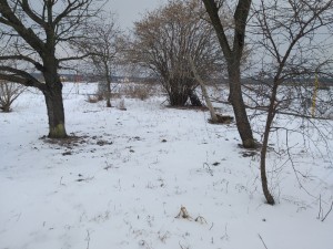 Создать мем: снежный покров весной картина, участок, зимний пейзаж