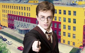 Create meme: interesting facts Harry Potter photo, growing up Harry Potter, Harry Potter now
