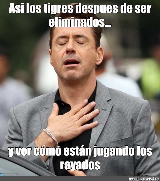 Meme Asi los tigres despues de ser eliminados y ver cómo están jugando los rayados All