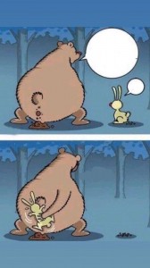 Create meme: jokes bear rabbit, funny bear, cartoon character