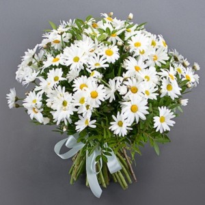 Create meme: chamomile flowers, bouquet of daisies