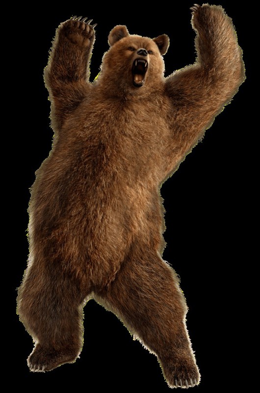 Create meme: tekken 6 kuma, brown bear, grizzly bear 