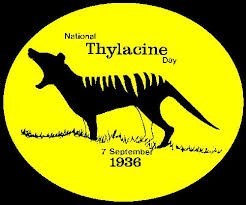 Create meme: marsupial wolves, tasmanian marsupial wolf, thylacine marsupial wolf