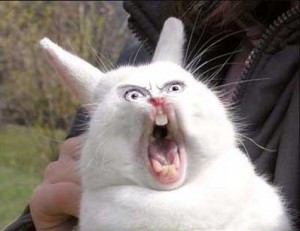 Create meme: evil Bunny, screaming rabbit , evil rabbit