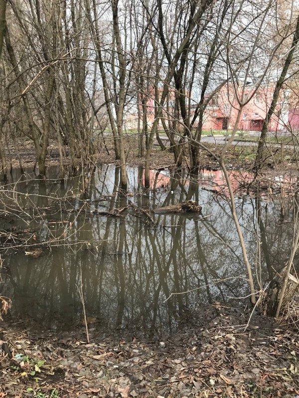 Создать мем: ручей в раменском, река отра раменский район, жители водоемов