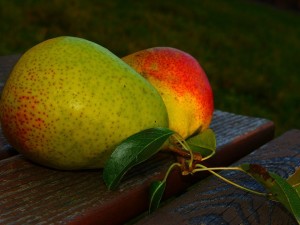 Create meme: fruit, Fruit, pear