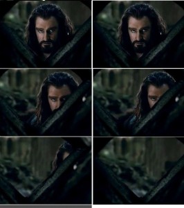 Create meme: Thorin Oakenshield, the battle of the 5 armies, Thorin Oakenshield