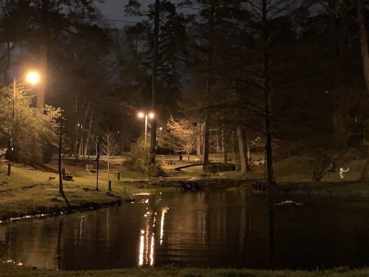 Create meme: Izmailovsky Park lake, night Park, night park