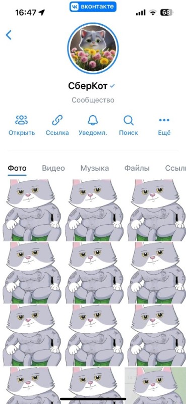 Create meme: sber cat stickers, sber cat, bercot and Kusa