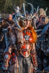 Create meme: best cosplay, blizzcon 2013 original art contest, warrior T6 cosplay