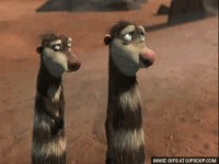 Create meme: meerkats are from the ice age, gifs ice age, 2 possum from ice age