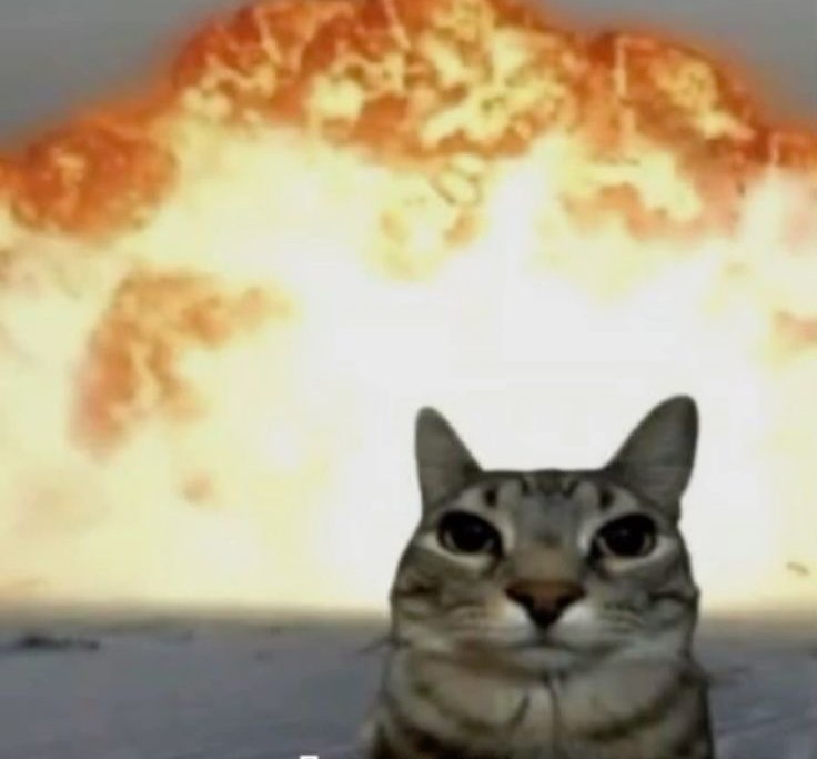 Create meme: cat meme , cat , cat explosion meme