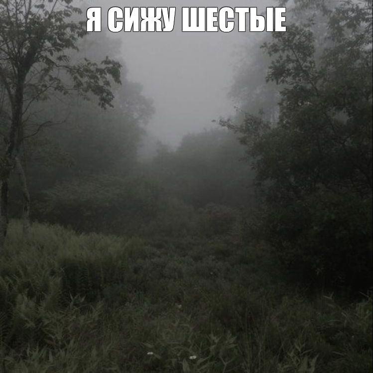 Create meme: midwest aesthetic, fog in the forest, gloomy paradise