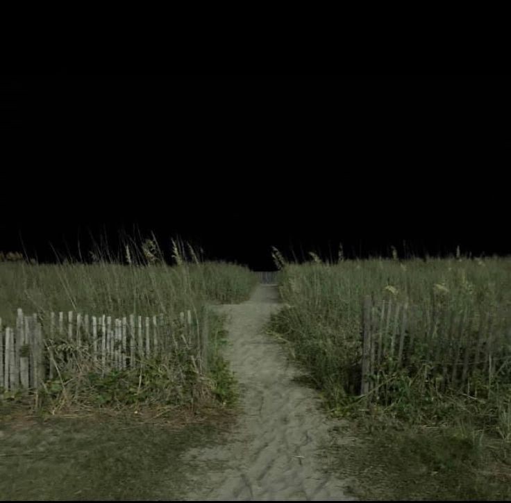 Create meme: night field, The field is scary at night, A field in the dark