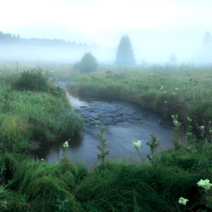 Create meme: river , forest river, esthetics river