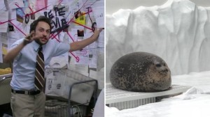 Create meme: seal the dumpling, round seal