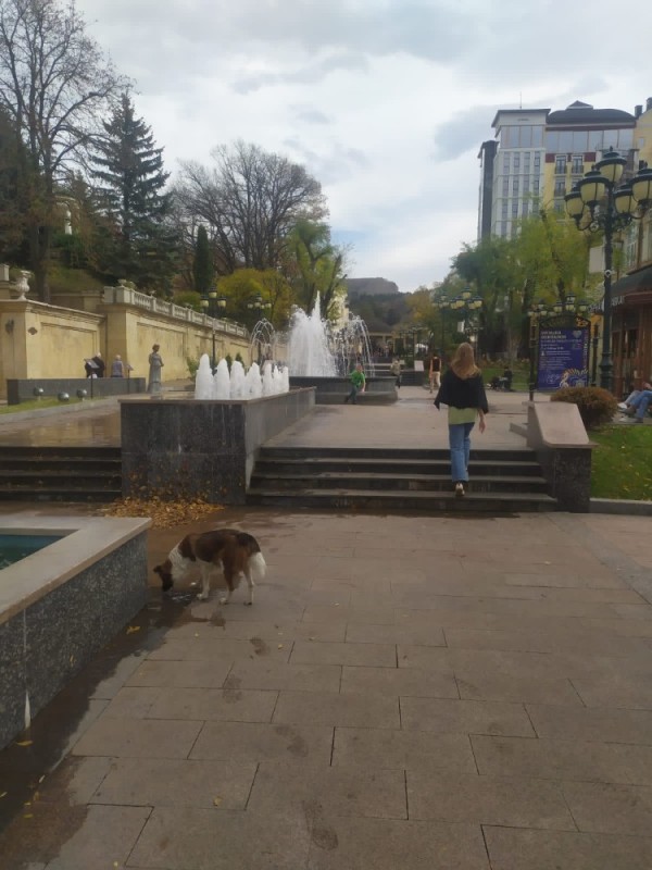 Создать мем: центральный парк воронеж, кисловодск центр города в октябре, курортный бульвар кисловодск