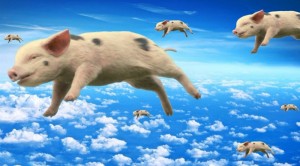 Create meme: animals pig, pig, pig