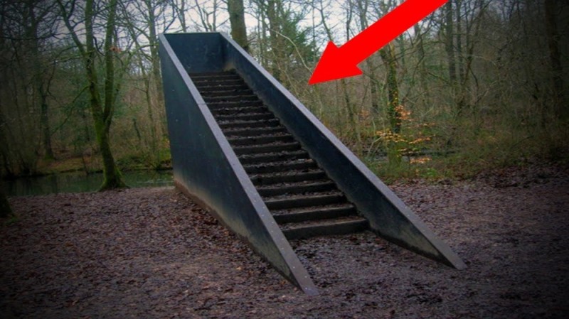 Create meme: stairs in the forest, darkness, A long staircase