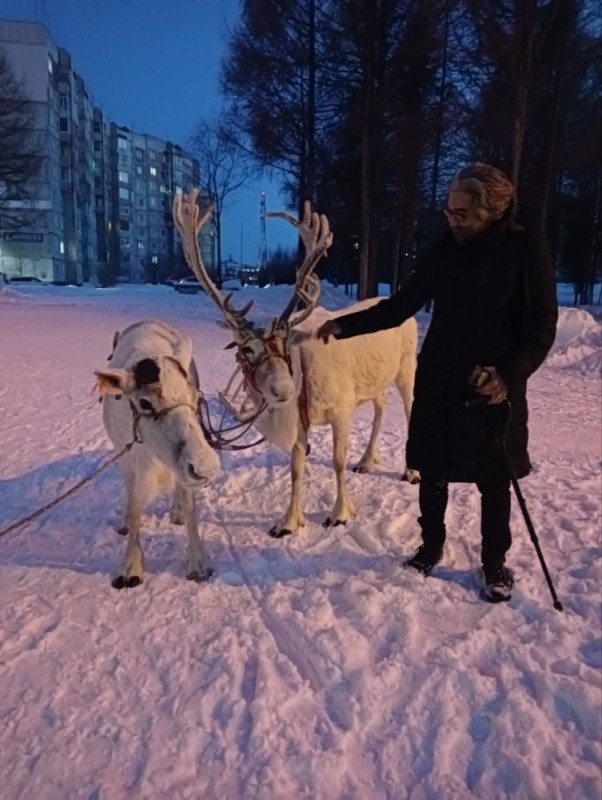 Create meme: reindeer , male , deer 