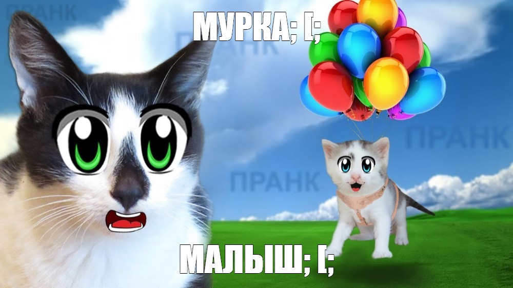 Создать мем: null