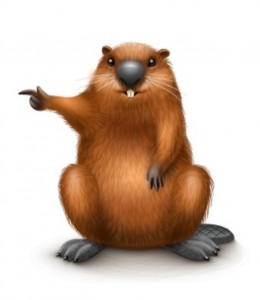Create meme: words with meaning, beaver