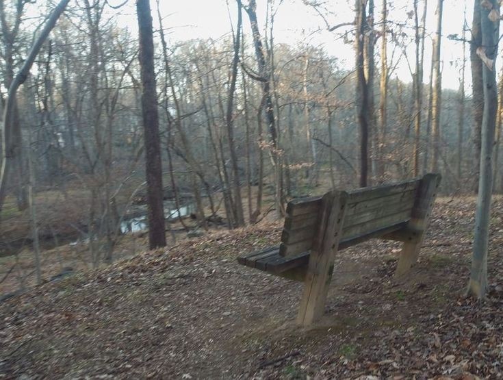 Создать мем: скамейка в лесу, скамейка, bench