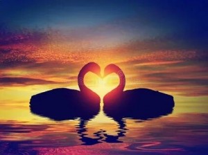 Create meme: love, heart at sunset