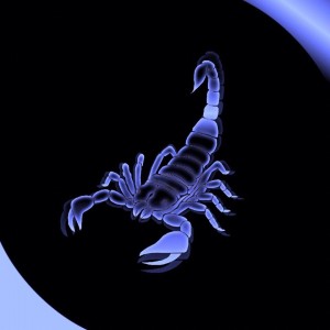 Create meme: the color of the Scorpion, white Scorpio, Scorpio
