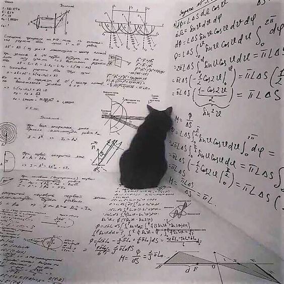 Create meme: the cat is a mathematician, the cat in the corner, mathematics memes cats